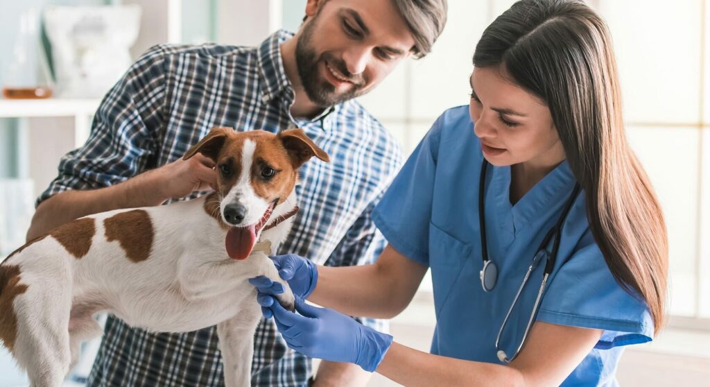 innovations in pet insurance